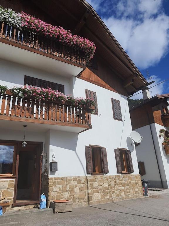 Casa Phoenix Appartamento Piano Terra Immerso Nel Verde A Pochi Minuti Dalla Ciclabile Pieve di Cadore Ngoại thất bức ảnh
