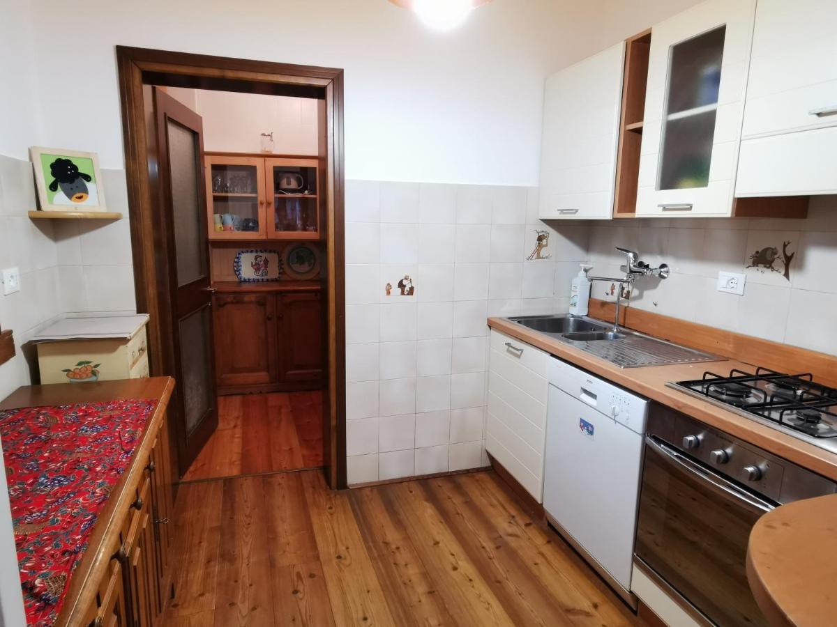 Casa Phoenix Appartamento Piano Terra Immerso Nel Verde A Pochi Minuti Dalla Ciclabile Pieve di Cadore Ngoại thất bức ảnh