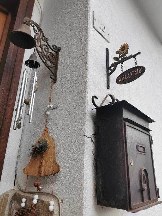 Casa Phoenix Appartamento Piano Terra Immerso Nel Verde A Pochi Minuti Dalla Ciclabile Pieve di Cadore Ngoại thất bức ảnh